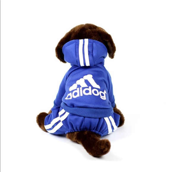 Adidog Royal Blue Tracksuit - Picture 5 of 8